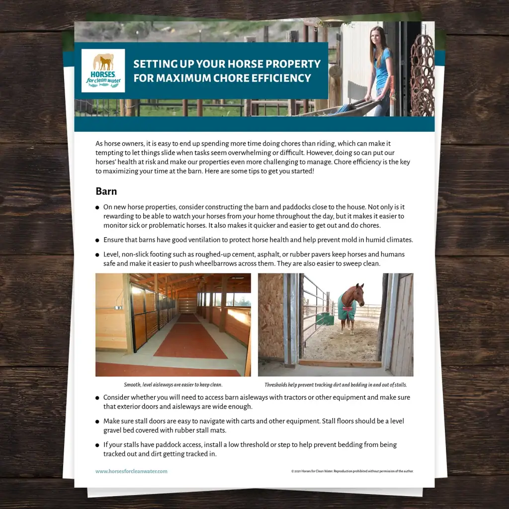 Brightly lit horse barn interior with well-ventilated stalls, smooth walkways, and clean flooring идеальный для устойчивого содержания лошадей.