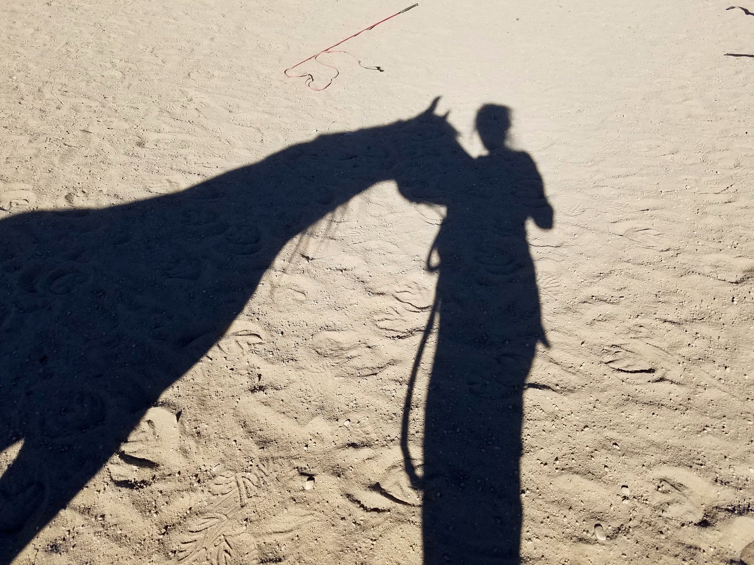 Shadows of a person and a horse cast on sandy ground, highlighting outdoor horse riding and land management practices.